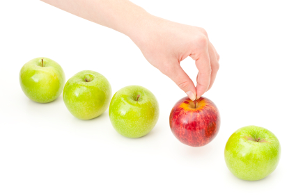 Standard Deduction vs. Itemized Standard Deduction vs. Itemized