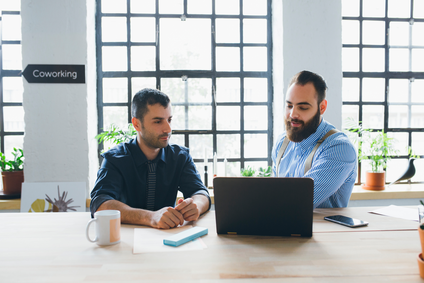 Two Businessmen Coworking