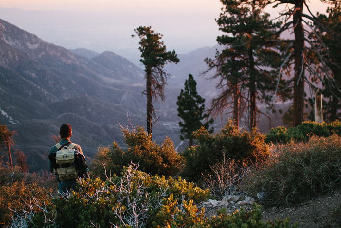 Man Standing in Mountain Landscape