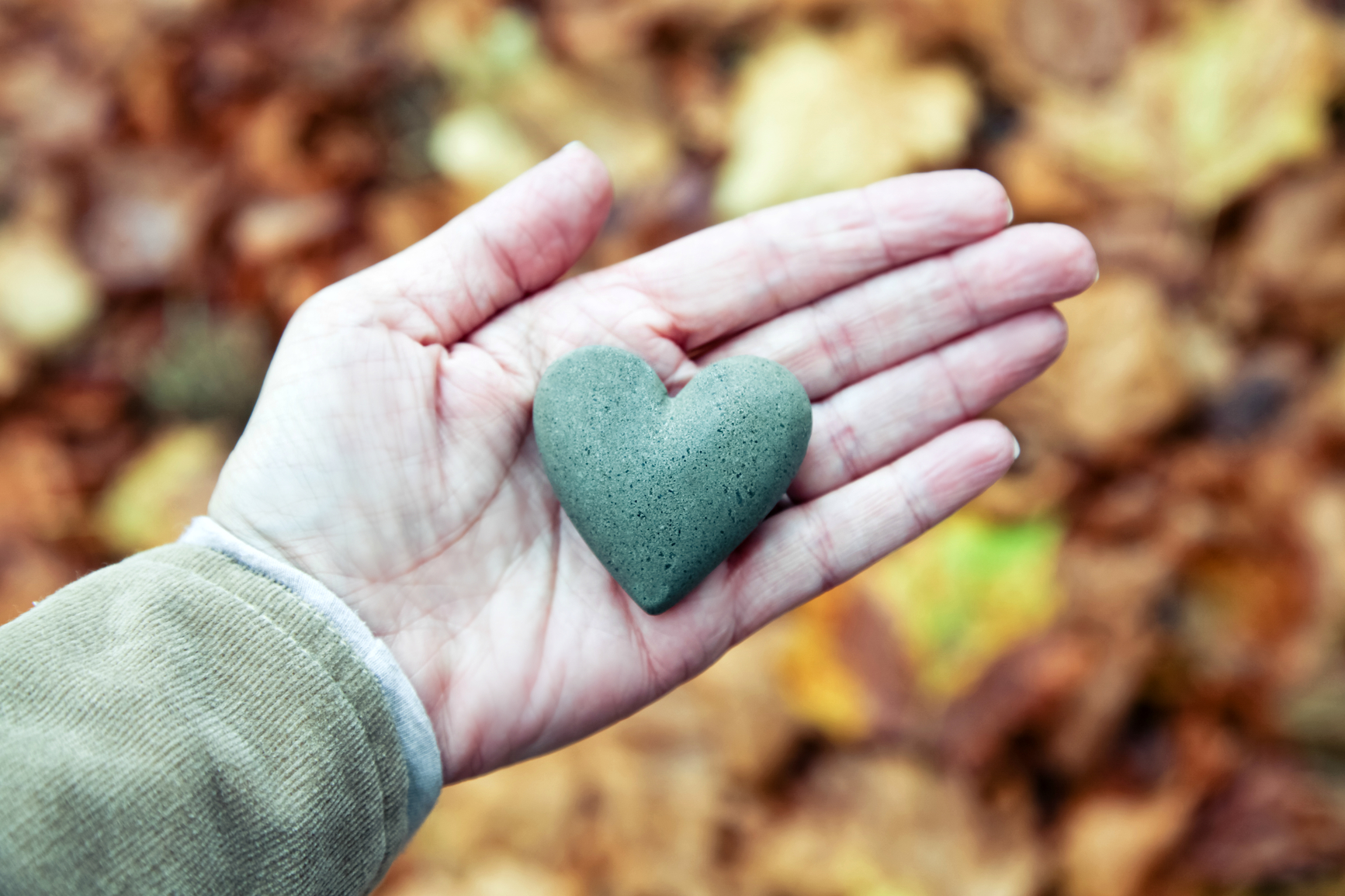 track charitable donations